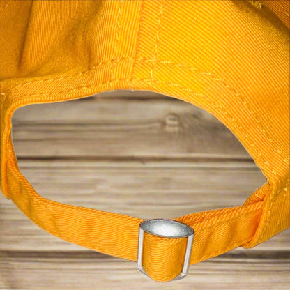 Treasury Dept. Low Profile 6 Panel Vintage Distressed Dad Hats