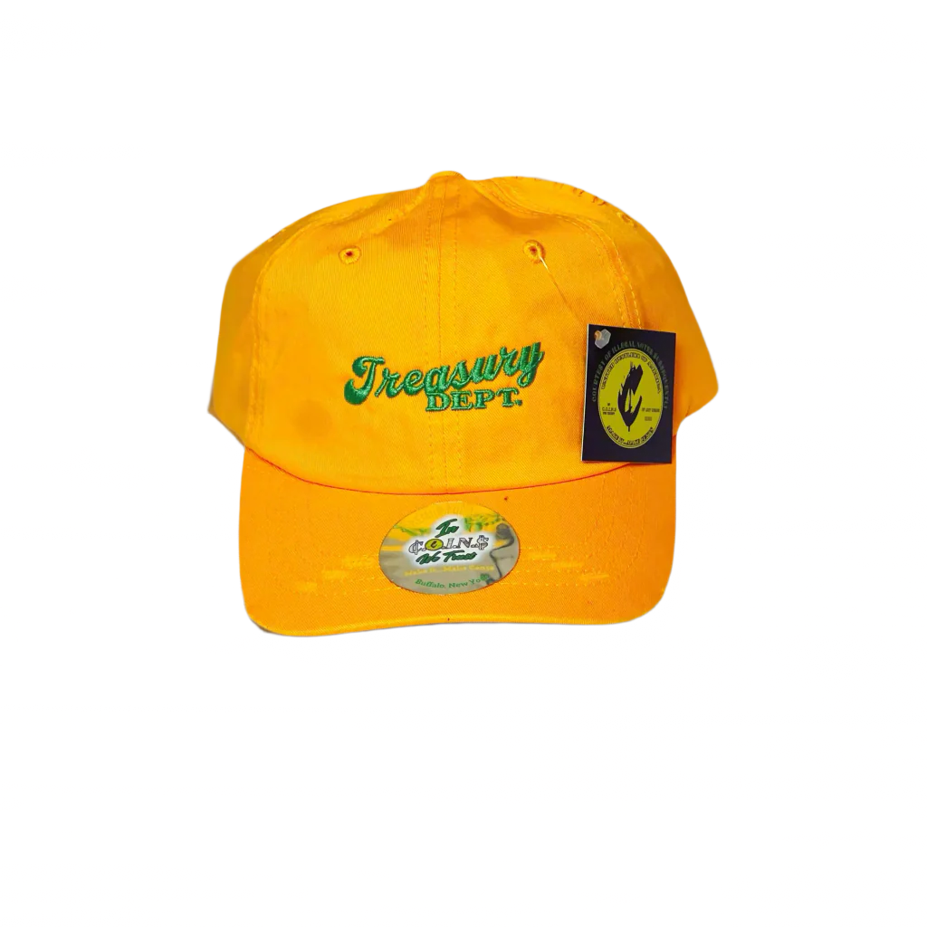 Treasury Dept. Low Profile 6 Panel Vintage Distressed Dad Hats